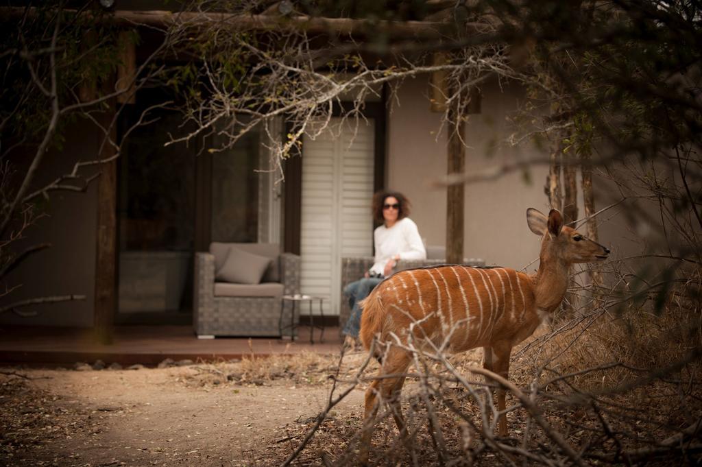 Moditlo River Lodge Hoedspruit Zewnętrze zdjęcie