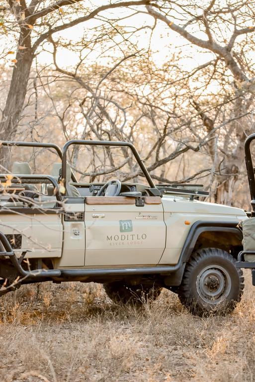 Moditlo River Lodge Hoedspruit Zewnętrze zdjęcie