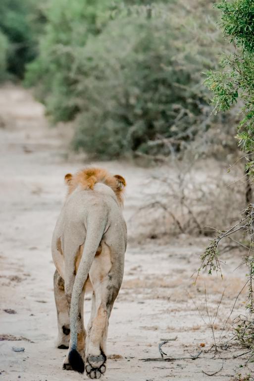 Moditlo River Lodge Hoedspruit Zewnętrze zdjęcie