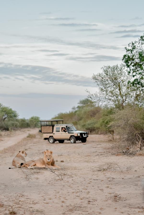 Moditlo River Lodge Hoedspruit Zewnętrze zdjęcie