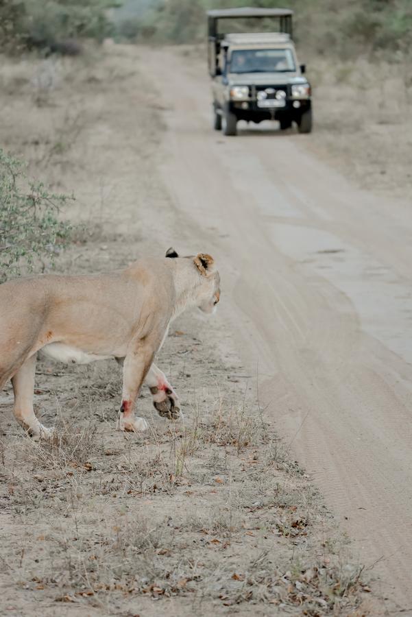Moditlo River Lodge Hoedspruit Zewnętrze zdjęcie
